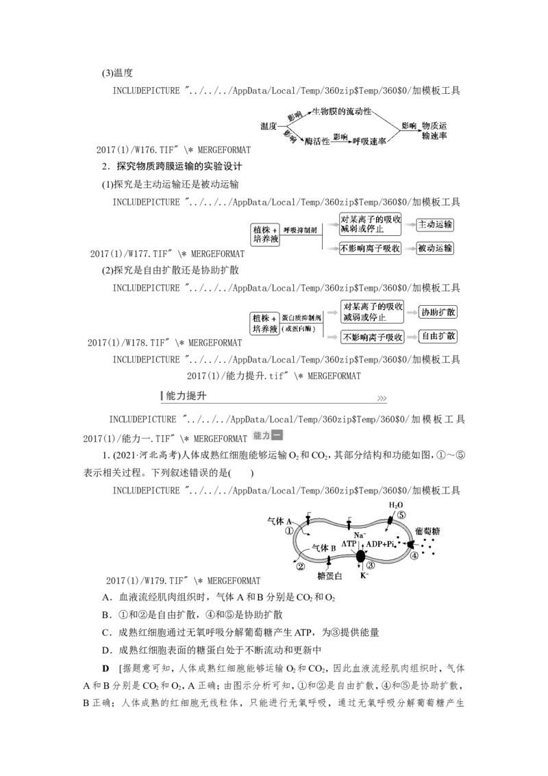 [12501770]高中生物一轮复习学案：第6讲　物质跨膜运输的实例和方式_新高考复习资料_2023年新高考复习资料_一轮复习_精讲精练2023届新高考生物一轮复习学案
