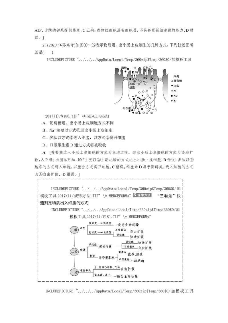 [12501770]高中生物一轮复习学案：第6讲　物质跨膜运输的实例和方式_新高考复习资料_2023年新高考复习资料_一轮复习_精讲精练2023届新高考生物一轮复习学案