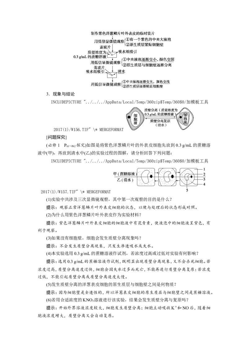 [12501770]高中生物一轮复习学案：第6讲　物质跨膜运输的实例和方式_新高考复习资料_2023年新高考复习资料_一轮复习_精讲精练2023届新高考生物一轮复习学案