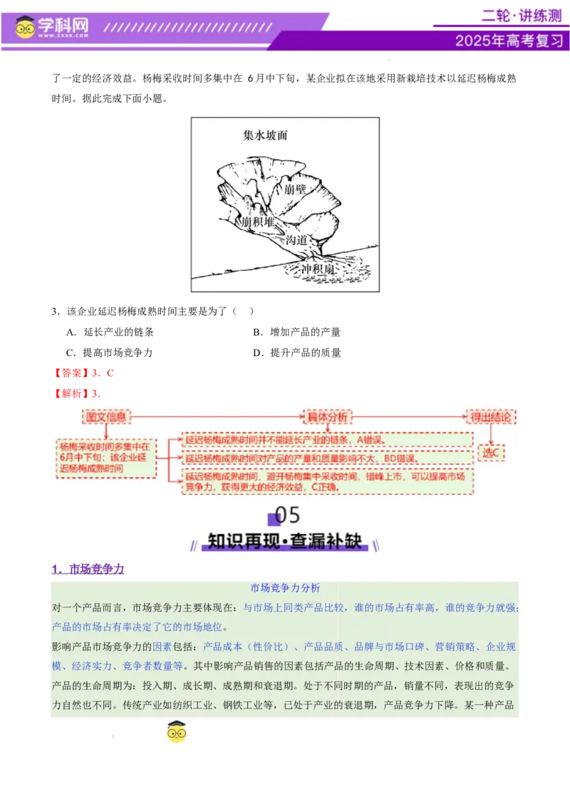 微专题市场竞争力（讲义）（解析版）_2025年新高考资料_二轮复习_上好课2025年高考地理二轮复习讲练测（新高考通用）3381954