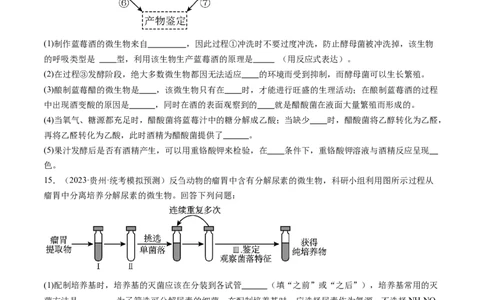 第38讲传统发酵技术和发酵工程的应用（练习）（原卷版）_2024年新高考资料_1.2024一轮复习_2024年高考生物一轮复习讲练测（新教材新高考）