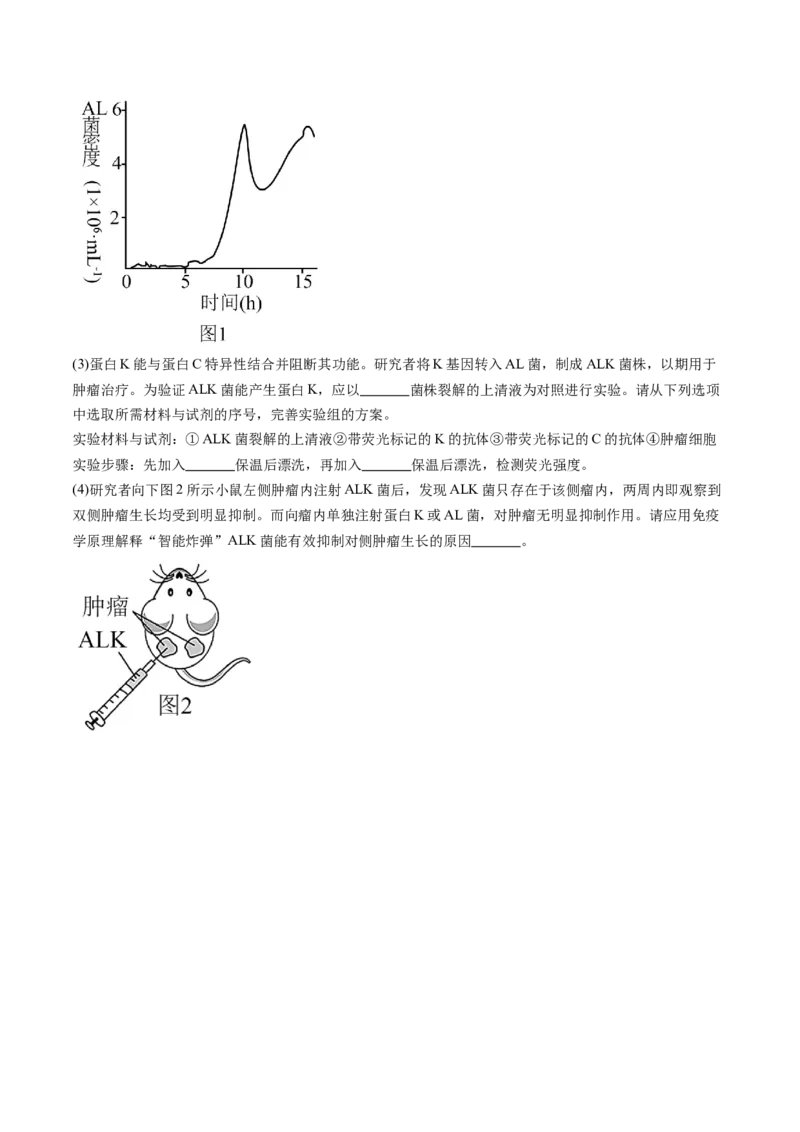 第38讲传统发酵技术和发酵工程的应用（练习）（原卷版）_2024年新高考资料_1.2024一轮复习_2024年高考生物一轮复习讲练测（新教材新高考）