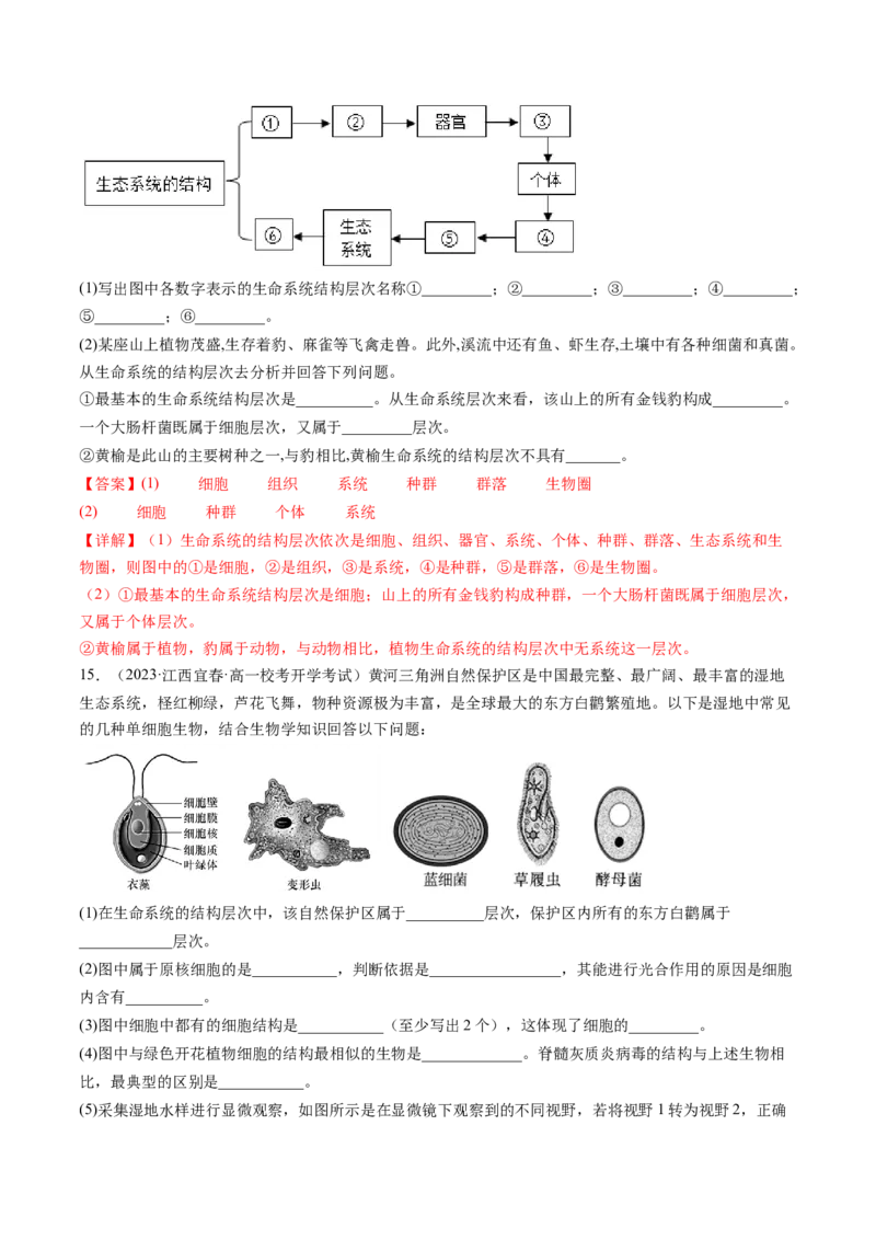 第1讲走近细胞（练习）（解析版）_2024年新高考资料_1.2024一轮复习_2024年高考生物一轮复习讲练测（新教材新高考）