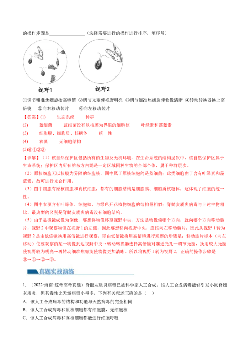 第1讲走近细胞（练习）（解析版）_2024年新高考资料_1.2024一轮复习_2024年高考生物一轮复习讲练测（新教材新高考）