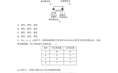 第3单元　课时练3　细胞呼吸的方式和过程_2024年新高考资料_1.2024一轮复习_2024年高考生物一轮复习讲义（新人教版）_学生版在此文件夹_一轮复习69练_第三单元　细胞的能量供应和利用
