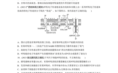 第3单元　课时练3　细胞呼吸的方式和过程_2024年新高考资料_1.2024一轮复习_2024年高考生物一轮复习讲义（新人教版）_学生版在此文件夹_一轮复习69练_第三单元　细胞的能量供应和利用