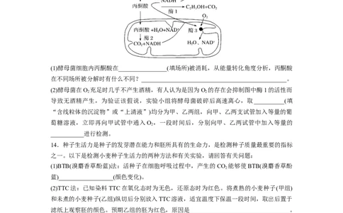 第3单元　课时练3　细胞呼吸的方式和过程_2024年新高考资料_1.2024一轮复习_2024年高考生物一轮复习讲义（新人教版）_学生版在此文件夹_一轮复习69练_第三单元　细胞的能量供应和利用