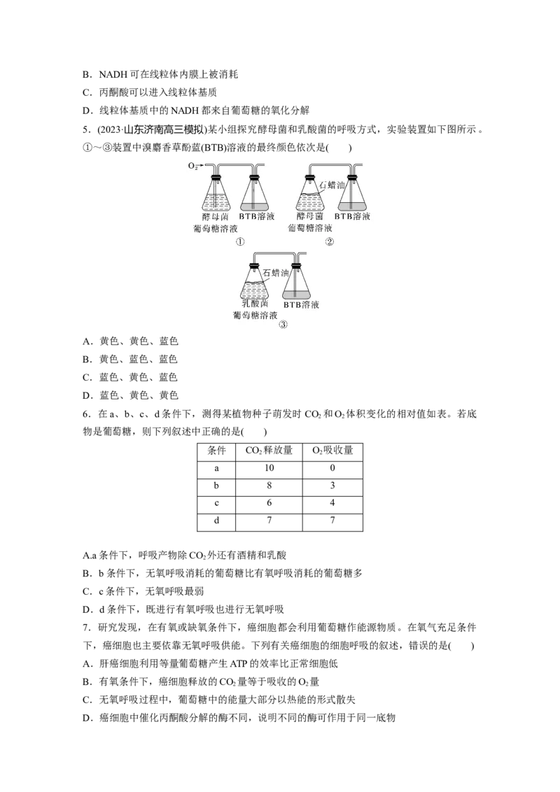 第3单元　课时练3　细胞呼吸的方式和过程_2024年新高考资料_1.2024一轮复习_2024年高考生物一轮复习讲义（新人教版）_学生版在此文件夹_一轮复习69练_第三单元　细胞的能量供应和利用