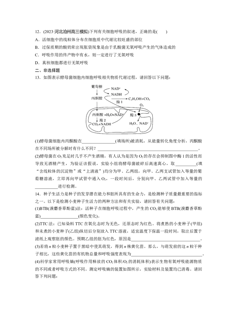 第3单元　课时练3　细胞呼吸的方式和过程_2024年新高考资料_1.2024一轮复习_2024年高考生物一轮复习讲义（新人教版）_学生版在此文件夹_一轮复习69练_第三单元　细胞的能量供应和利用