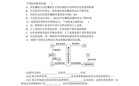 专练62　生物的进化综合练_新高考复习资料_2023年新高考复习资料_专项复习_2023《微专题&middot;小练习》&middot;生物&middot;新教材&middot;XL-7