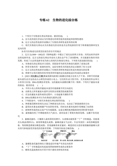 专练62　生物的进化综合练_新高考复习资料_2023年新高考复习资料_专项复习_2023《微专题&middot;小练习》&middot;生物&middot;新教材&middot;XL-7