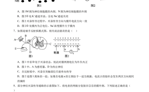 第26.2讲神经冲动的产生、传导和传递（练习）（原卷版）_2024年新高考资料_1.2024一轮复习_2024年高考生物一轮复习讲练测（新教材新高考）