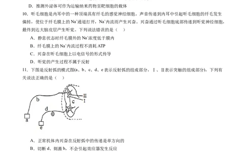 第26.2讲神经冲动的产生、传导和传递（练习）（原卷版）_2024年新高考资料_1.2024一轮复习_2024年高考生物一轮复习讲练测（新教材新高考）