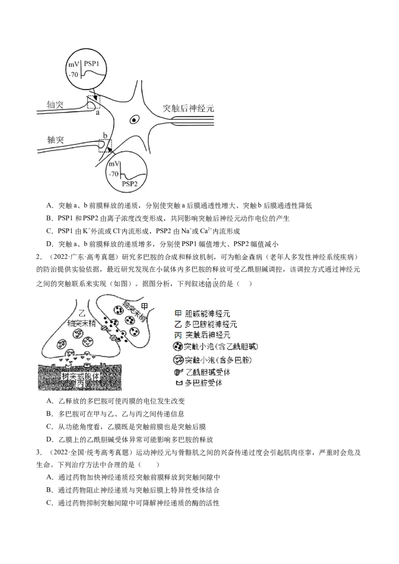 第26.2讲神经冲动的产生、传导和传递（练习）（原卷版）_2024年新高考资料_1.2024一轮复习_2024年高考生物一轮复习讲练测（新教材新高考）