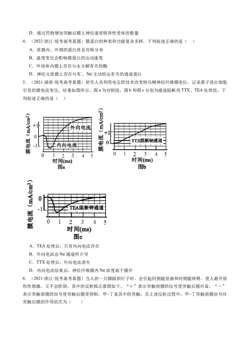 第26.2讲神经冲动的产生、传导和传递（练习）（原卷版）_2024年新高考资料_1.2024一轮复习_2024年高考生物一轮复习讲练测（新教材新高考）
