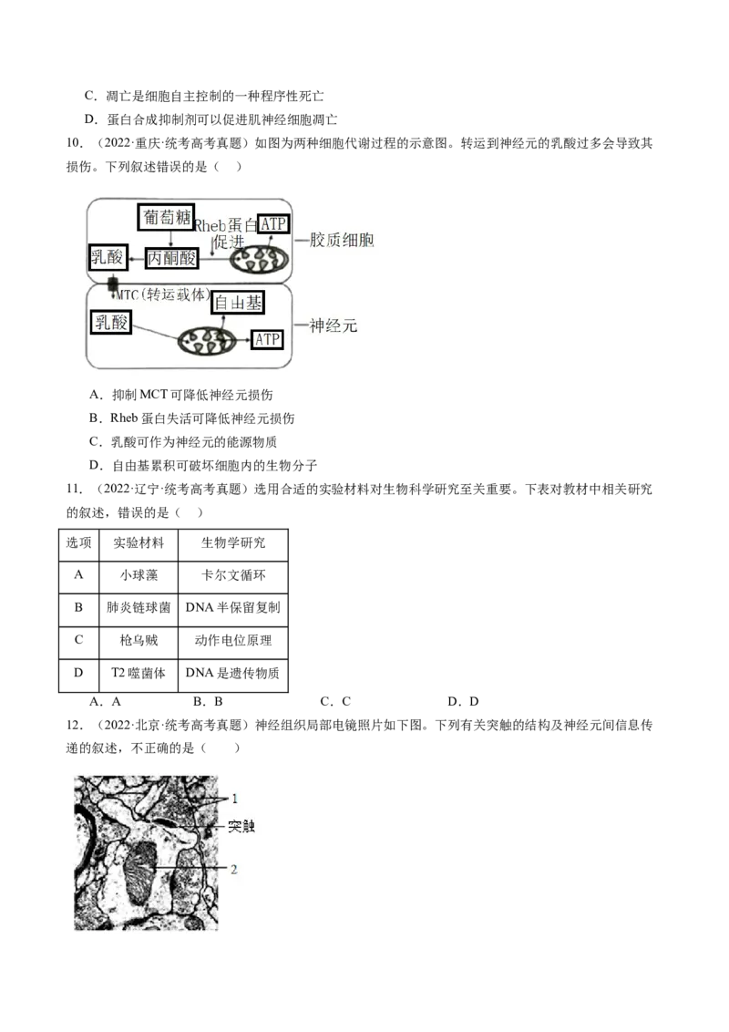 第26.2讲神经冲动的产生、传导和传递（练习）（原卷版）_2024年新高考资料_1.2024一轮复习_2024年高考生物一轮复习讲练测（新教材新高考）