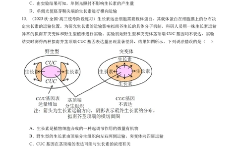 第32.1讲植物生长素（练习）（原卷版）_2024年新高考资料_1.2024一轮复习_2024年高考生物一轮复习讲练测（新教材新高考）