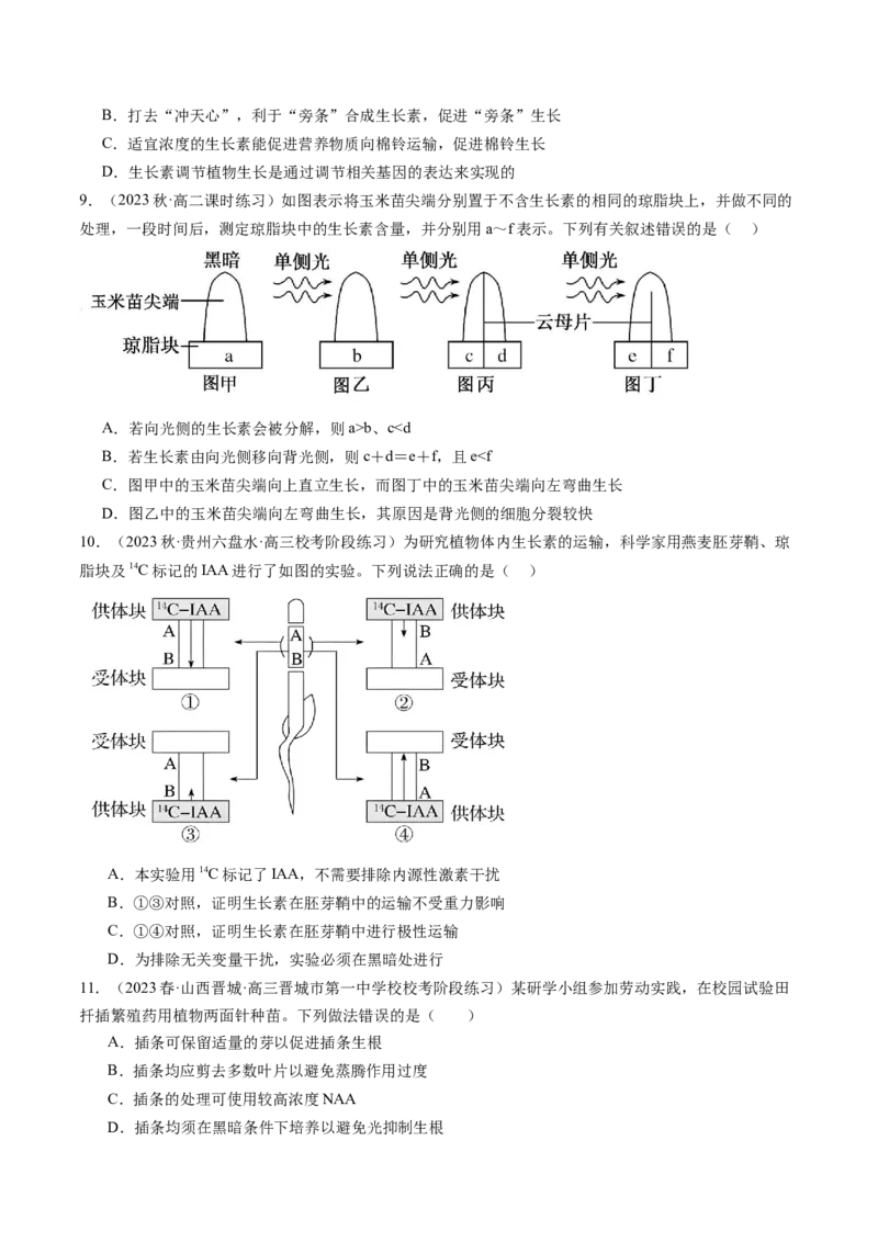 第32.1讲植物生长素（练习）（原卷版）_2024年新高考资料_1.2024一轮复习_2024年高考生物一轮复习讲练测（新教材新高考）