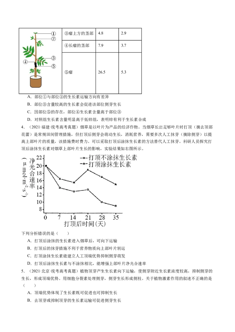 第32.1讲植物生长素（练习）（原卷版）_2024年新高考资料_1.2024一轮复习_2024年高考生物一轮复习讲练测（新教材新高考）