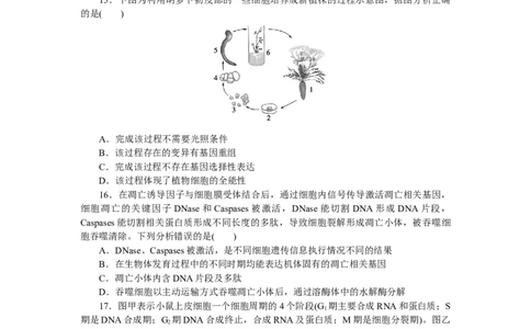 专练35　细胞的生命历程综合练_新高考复习资料_2023年新高考复习资料_专项复习_2023《微专题&middot;小练习》&middot;生物&middot;新教材&middot;XL-7