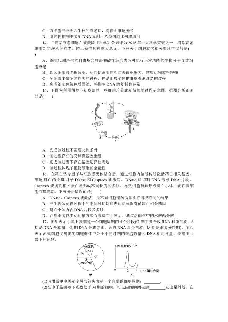 专练35　细胞的生命历程综合练_新高考复习资料_2023年新高考复习资料_专项复习_2023《微专题&middot;小练习》&middot;生物&middot;新教材&middot;XL-7