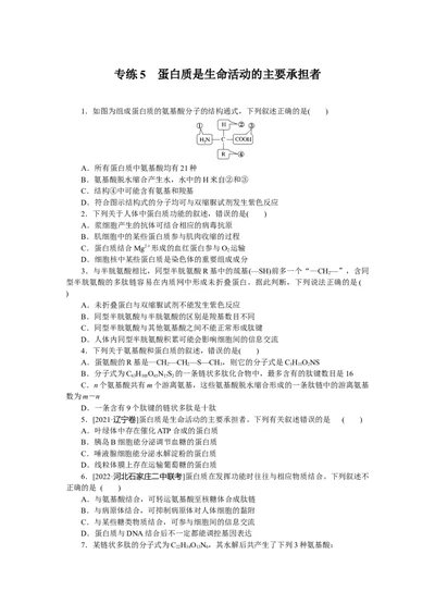 专练5　蛋白质是生命活动的主要承担者_新高考复习资料_2023年新高考复习资料_专项复习_2023《微专题&middot;小练习》&middot;生物&middot;新教材&middot;XL-7