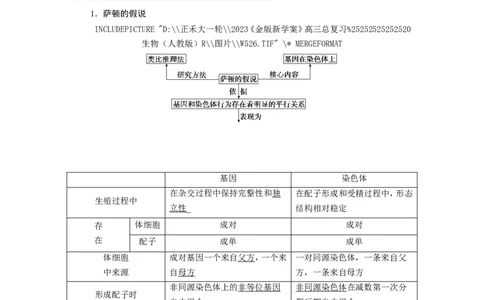 [12533088]高中生物一轮复习学案：第16讲　基因在染色体上、伴性遗传和人类遗传病_新高考复习资料_2023年新高考复习资料_一轮复习_精讲精练2023届新高考生物一轮复习学案