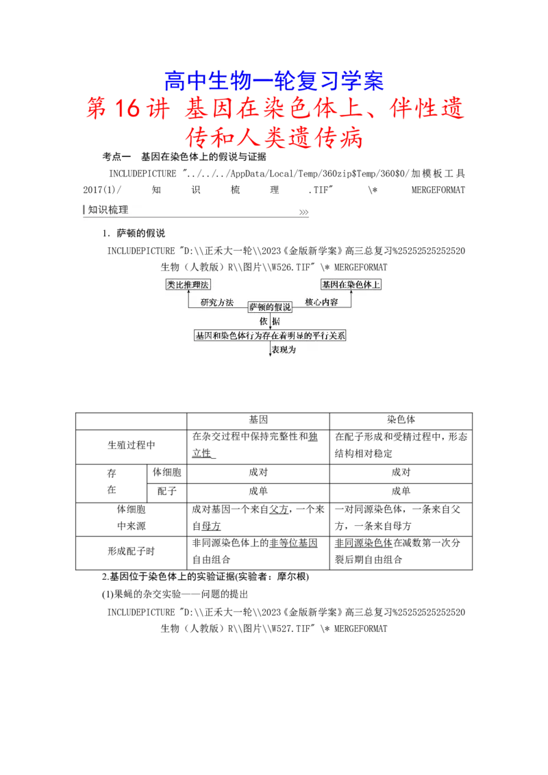 [12533088]高中生物一轮复习学案：第16讲　基因在染色体上、伴性遗传和人类遗传病_新高考复习资料_2023年新高考复习资料_一轮复习_精讲精练2023届新高考生物一轮复习学案