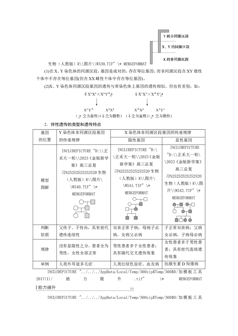 [12533088]高中生物一轮复习学案：第16讲　基因在染色体上、伴性遗传和人类遗传病_新高考复习资料_2023年新高考复习资料_一轮复习_精讲精练2023届新高考生物一轮复习学案