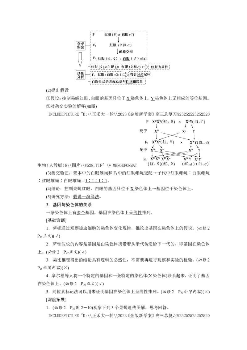 [12533088]高中生物一轮复习学案：第16讲　基因在染色体上、伴性遗传和人类遗传病_新高考复习资料_2023年新高考复习资料_一轮复习_精讲精练2023届新高考生物一轮复习学案