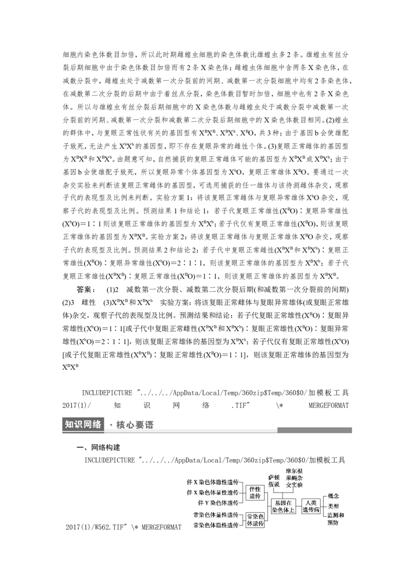 [12533088]高中生物一轮复习学案：第16讲　基因在染色体上、伴性遗传和人类遗传病_新高考复习资料_2023年新高考复习资料_一轮复习_精讲精练2023届新高考生物一轮复习学案