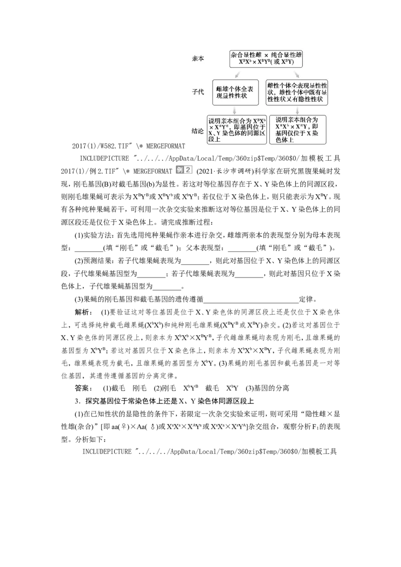 [12533088]高中生物一轮复习学案：第16讲　基因在染色体上、伴性遗传和人类遗传病_新高考复习资料_2023年新高考复习资料_一轮复习_精讲精练2023届新高考生物一轮复习学案