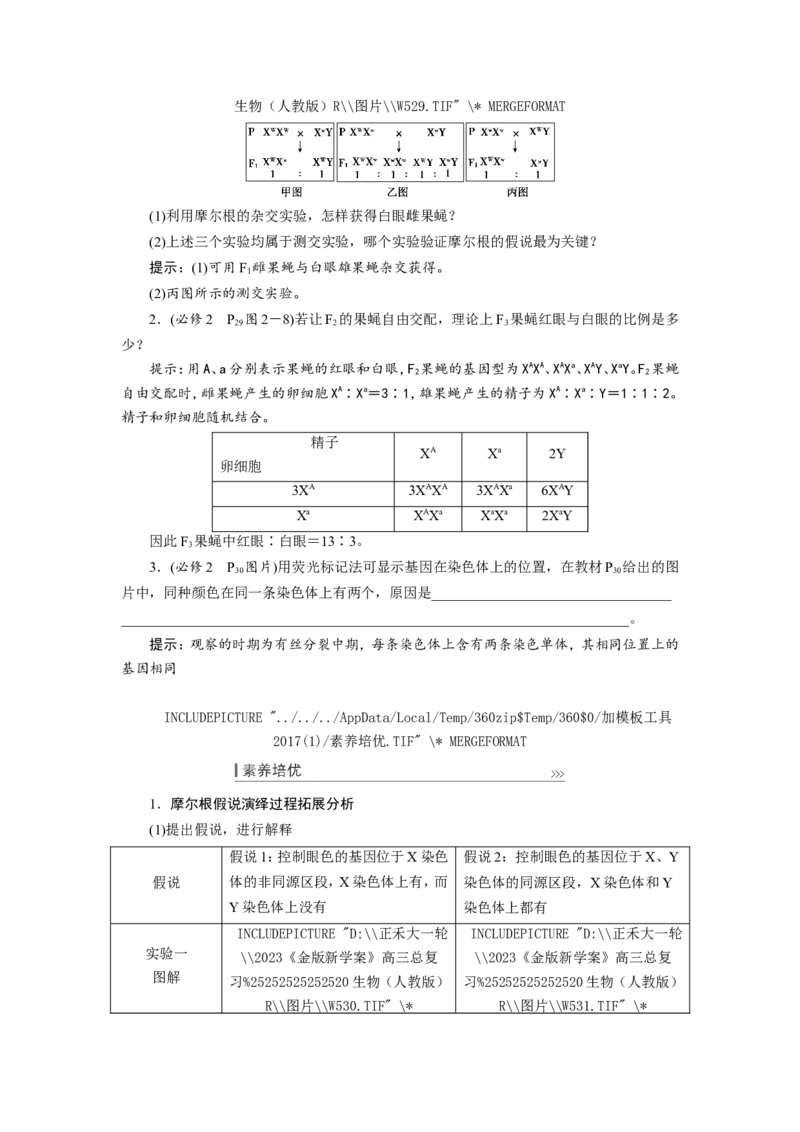 [12533088]高中生物一轮复习学案：第16讲　基因在染色体上、伴性遗传和人类遗传病_新高考复习资料_2023年新高考复习资料_一轮复习_精讲精练2023届新高考生物一轮复习学案