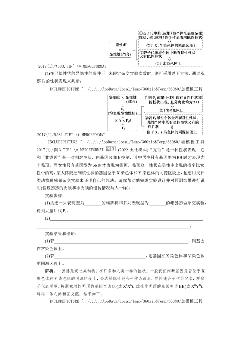 [12533088]高中生物一轮复习学案：第16讲　基因在染色体上、伴性遗传和人类遗传病_新高考复习资料_2023年新高考复习资料_一轮复习_精讲精练2023届新高考生物一轮复习学案