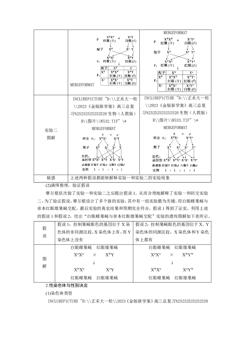 [12533088]高中生物一轮复习学案：第16讲　基因在染色体上、伴性遗传和人类遗传病_新高考复习资料_2023年新高考复习资料_一轮复习_精讲精练2023届新高考生物一轮复习学案