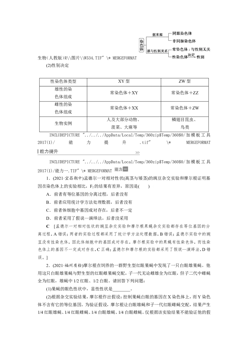 [12533088]高中生物一轮复习学案：第16讲　基因在染色体上、伴性遗传和人类遗传病_新高考复习资料_2023年新高考复习资料_一轮复习_精讲精练2023届新高考生物一轮复习学案