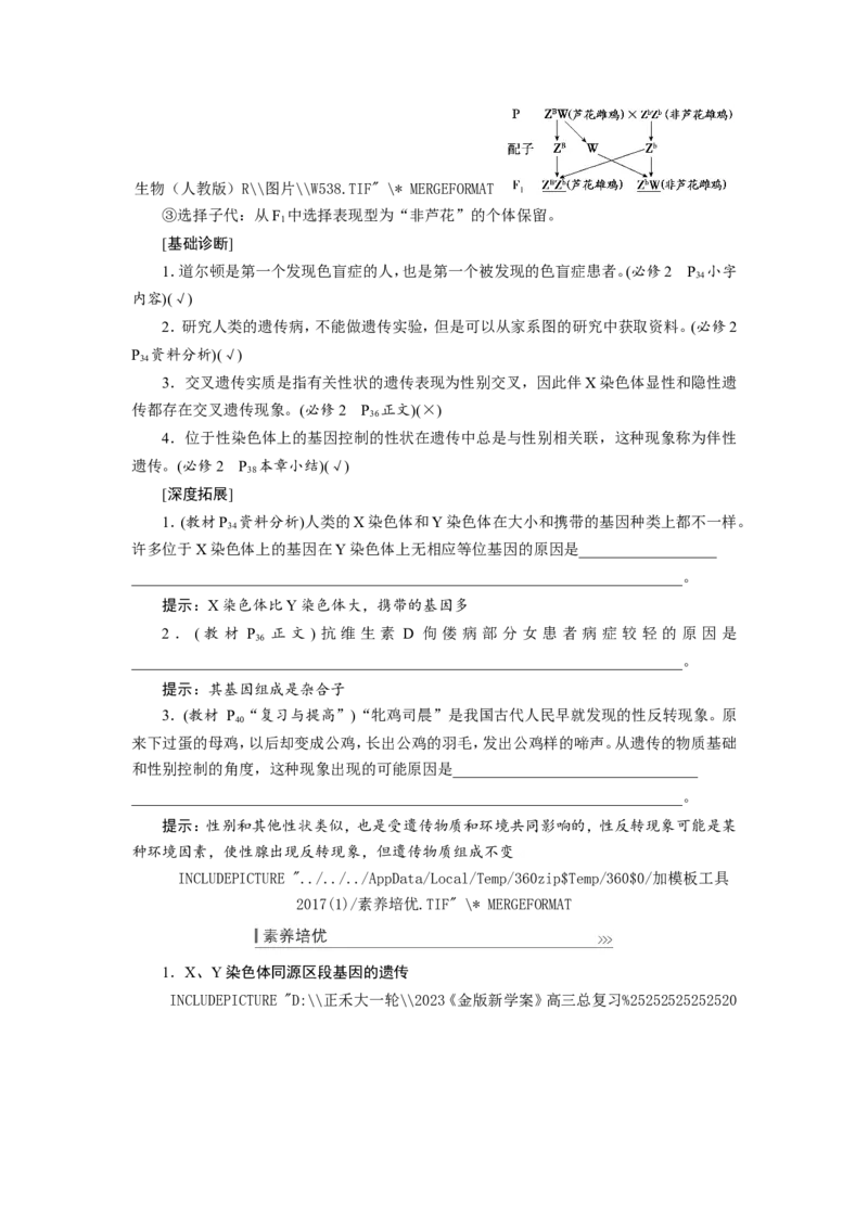 [12533088]高中生物一轮复习学案：第16讲　基因在染色体上、伴性遗传和人类遗传病_新高考复习资料_2023年新高考复习资料_一轮复习_精讲精练2023届新高考生物一轮复习学案