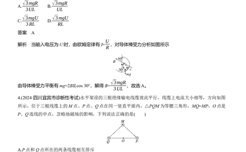 热点10　磁场的性质_04高考物理_2025年新高考资料_二轮复习_2025年高考物理大二轮_2025物理二轮专题复习教师用书Word版文档_考前特训_热点排查练