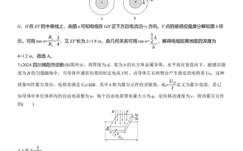 热点10　磁场的性质_04高考物理_2025年新高考资料_二轮复习_2025年高考物理大二轮_2025物理二轮专题复习教师用书Word版文档_考前特训_热点排查练