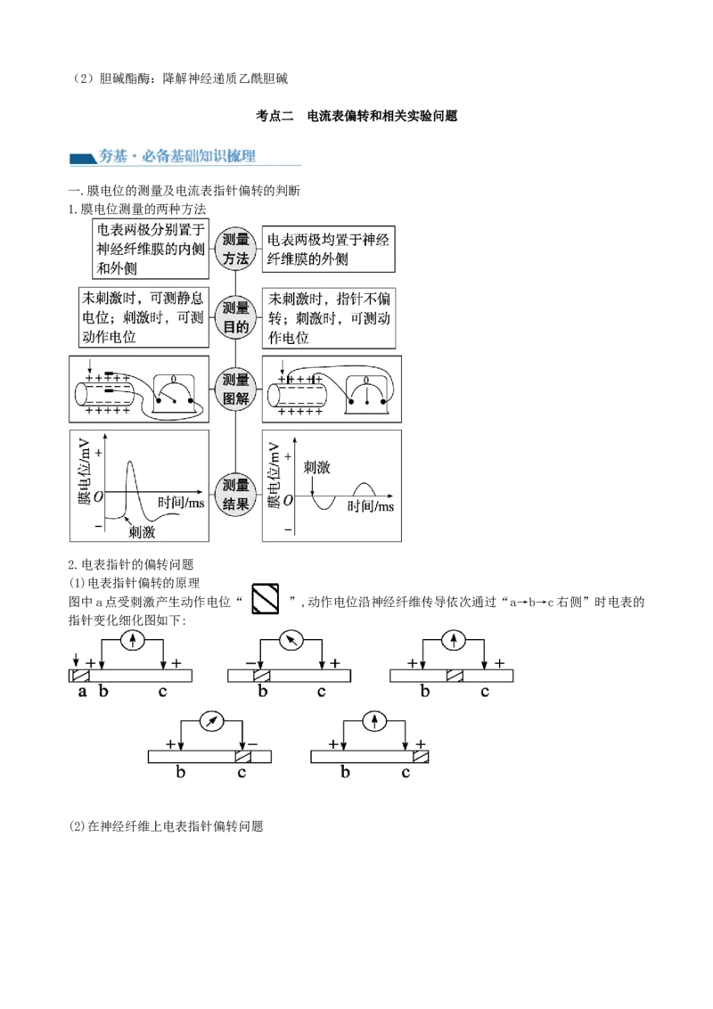 第26.2讲神经冲动的产生、传导和传递（讲义）（学生版）_2024年新高考资料_1.2024一轮复习_2024年高考生物一轮复习讲练测（新教材新高考）