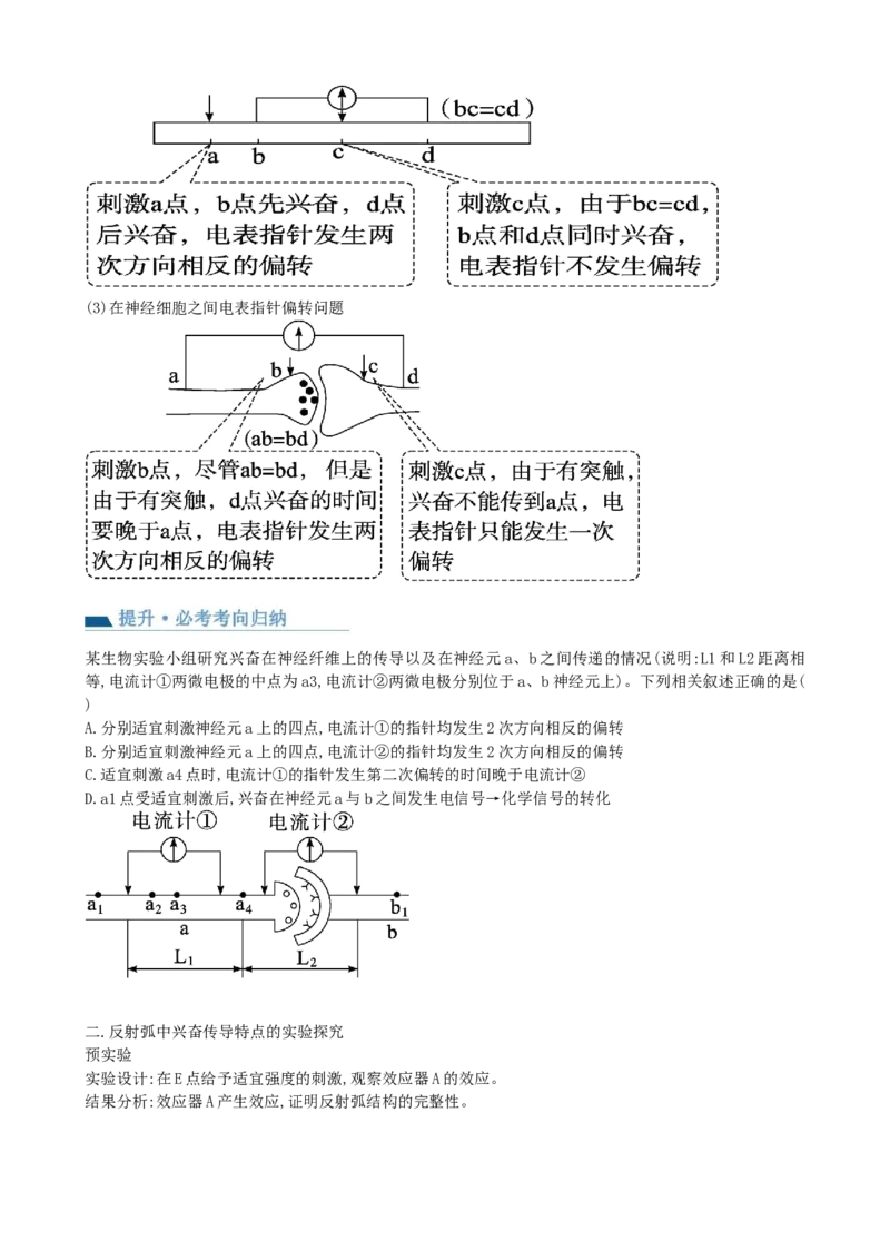 第26.2讲神经冲动的产生、传导和传递（讲义）（学生版）_2024年新高考资料_1.2024一轮复习_2024年高考生物一轮复习讲练测（新教材新高考）
