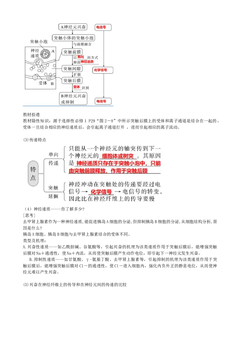 第26.2讲神经冲动的产生、传导和传递（讲义）（学生版）_2024年新高考资料_1.2024一轮复习_2024年高考生物一轮复习讲练测（新教材新高考）