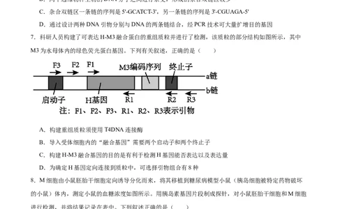 第18讲基因工程（练习）（原卷版）_2024年新高考资料_2.2024二轮复习_2024年高考生物二轮复习讲练测（新教材新高考）