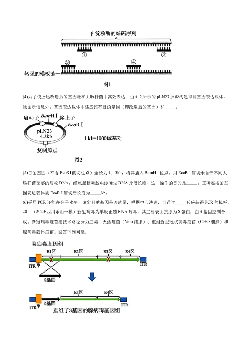 第18讲基因工程（练习）（原卷版）_2024年新高考资料_2.2024二轮复习_2024年高考生物二轮复习讲练测（新教材新高考）