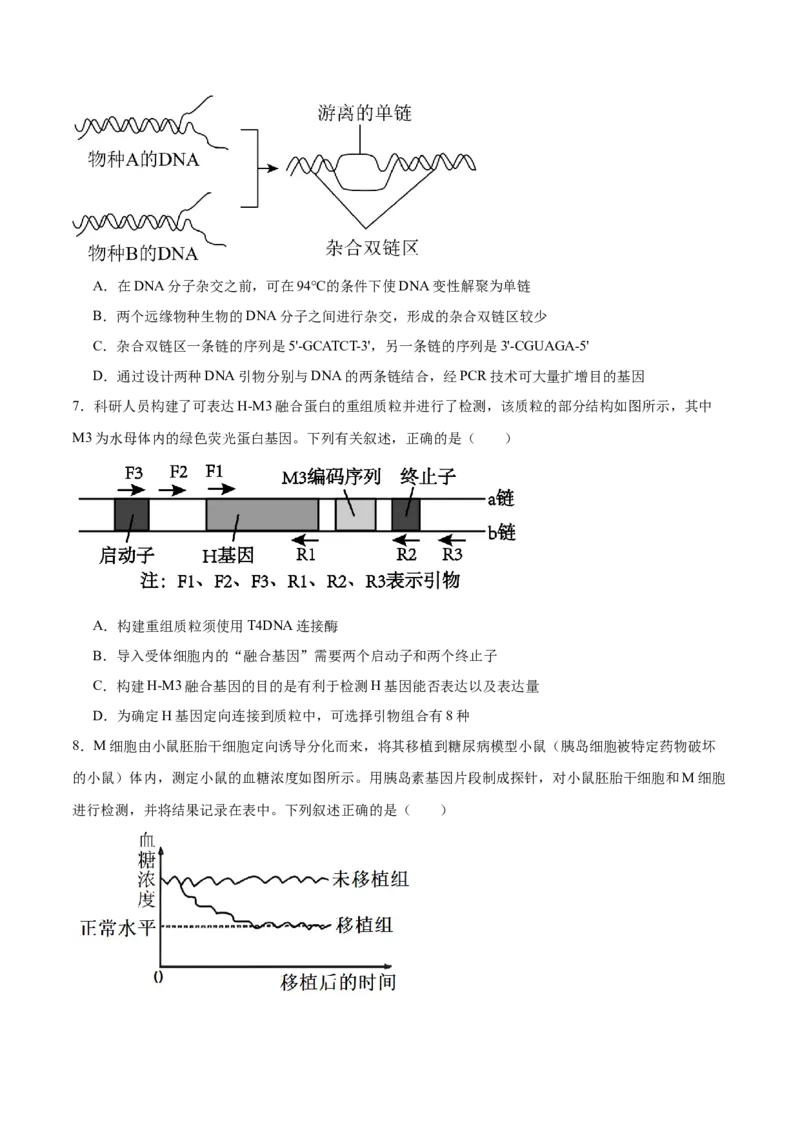 第18讲基因工程（练习）（原卷版）_2024年新高考资料_2.2024二轮复习_2024年高考生物二轮复习讲练测（新教材新高考）