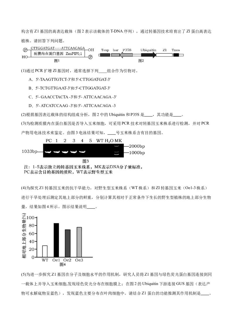 第18讲基因工程（练习）（原卷版）_2024年新高考资料_2.2024二轮复习_2024年高考生物二轮复习讲练测（新教材新高考）