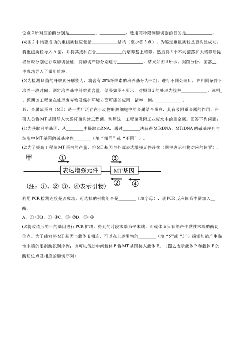 第18讲基因工程（练习）（原卷版）_2024年新高考资料_2.2024二轮复习_2024年高考生物二轮复习讲练测（新教材新高考）