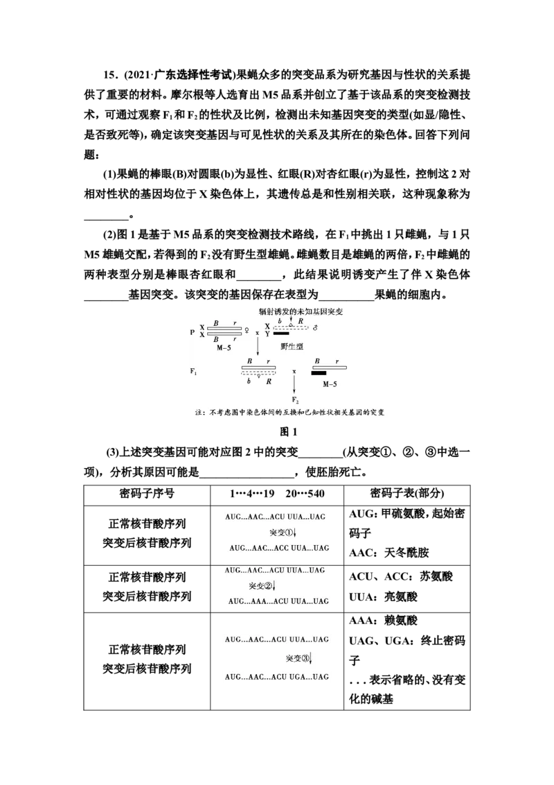 [13326503]备考2023生物课时分层作业20　基因突变和基因重组(含解析）_新高考复习资料_2023年新高考复习资料_专项复习_备考2023新高考生物课时分层作业