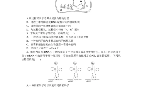 专练44　基因指导蛋白质的合成_通用版（老高考）复习资料_2023年复习资料_专项复习_2023《微专题&middot;小练习》&middot;生物