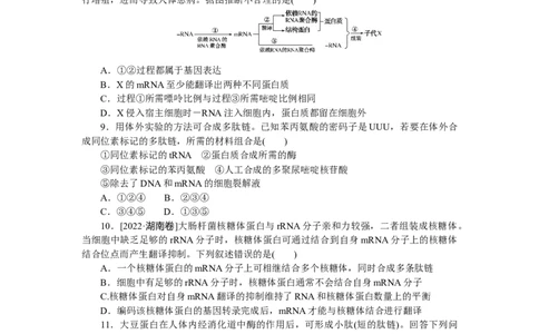 专练44　基因指导蛋白质的合成_通用版（老高考）复习资料_2023年复习资料_专项复习_2023《微专题&middot;小练习》&middot;生物